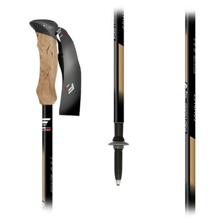 Trekking štapovi Fizan Compact Tech