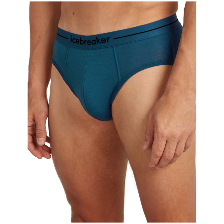 Muško donje rublje Icebreaker Mens Anatomica Briefs