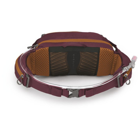 Torbice oko struka Osprey Seral 7