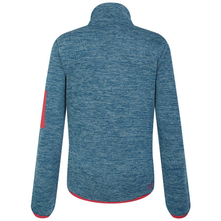 Ženska dukserica Dare 2b W Torrek Fleece
