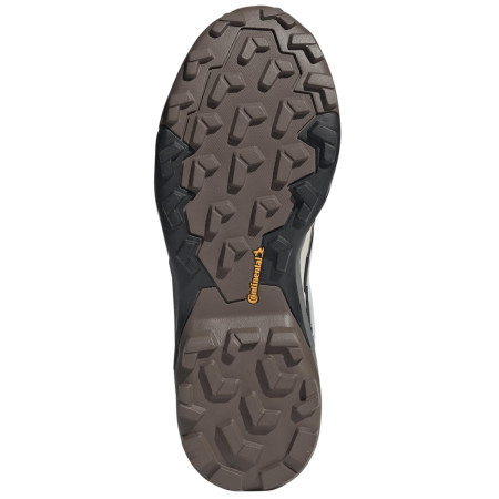 Ženske planinarske cipele Adidas Terrex Skychaser Gtx W