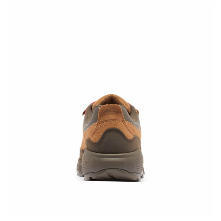 Muške cipele Columbia Newton Alpine™ Low