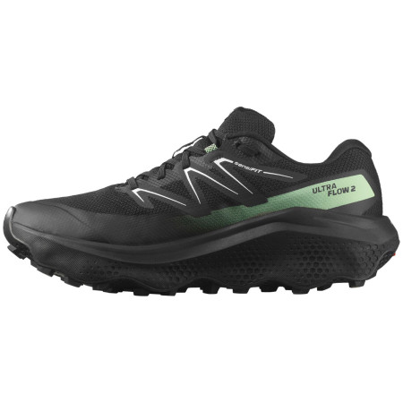 Muške cipele Salomon Ultra Flow 2 Gore-Tex