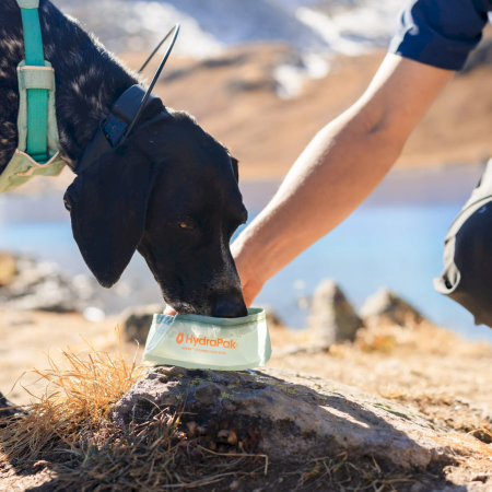Sklopiva zdjela Hydrapak Rover Dog Bowl