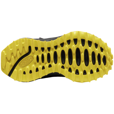 Dječja obuća Keen Zionic Mid Wp Children