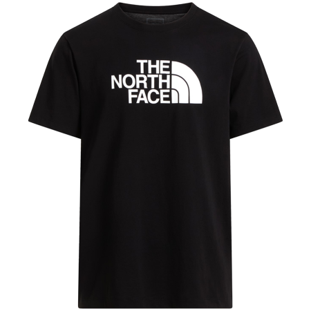 Muška majica The North Face Evolution Half Dome Regular Short Slee