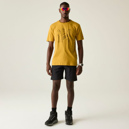 Muška majica Dare 2b Movement III Tee