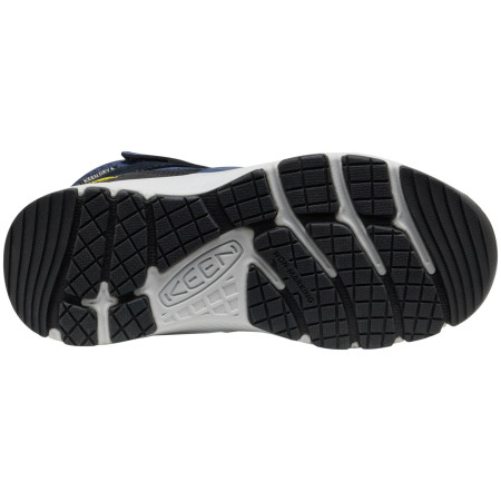 Dječja obuća Keen Skua Mid Wp Youth