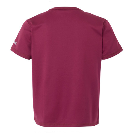 Dječja majica Regatta Alvarado IX