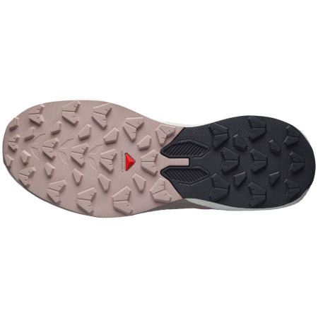 Ženske cipele Salomon Pulsar