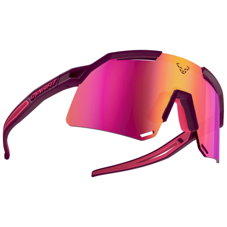 Sunčane naočale Dynafit Ultra Evo Sunglasses