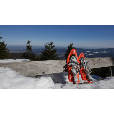 Krplje Inook Odalys lady