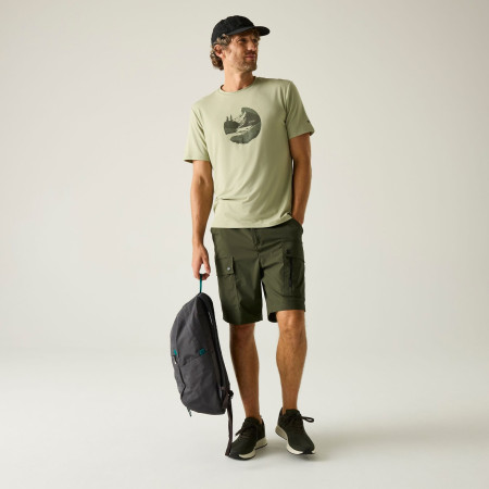 Muške kratke hlače Regatta Arlery Shorts