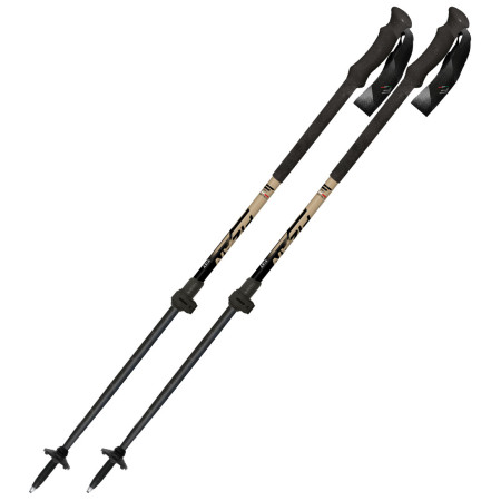 Štapovi za turno skijanje Fizan Aria