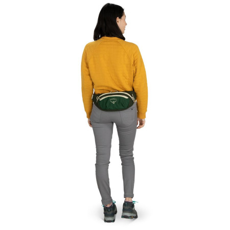 Torbice oko struka Osprey Daylite Waist Black