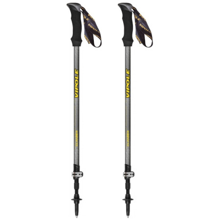 Trekking štapovi Vipole Climber As Ql siva/crna