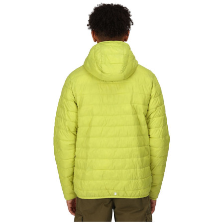 Muška zimska jakna Regatta Hooded Hillpack