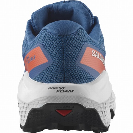 Muška obuća Salomon Ultra Flow 2 Gore-Tex