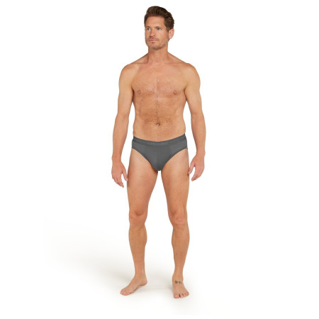 Muško donje rublje Icebreaker Mens Anatomica Briefs
