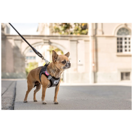 Povodac za psa Curli Stretch Comfort Leash