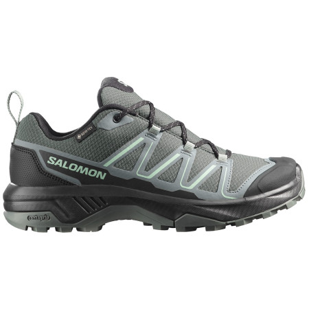 Ženske planinske cipele Salomon Exraise Gtx W zelena/siva Urban Chic / Black / Lichen