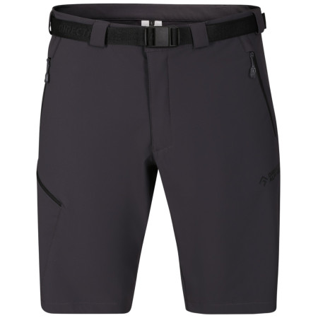 Muške kratke hlače Direct Alpine Cruise Shorts 3.0 crna/siva anthracite