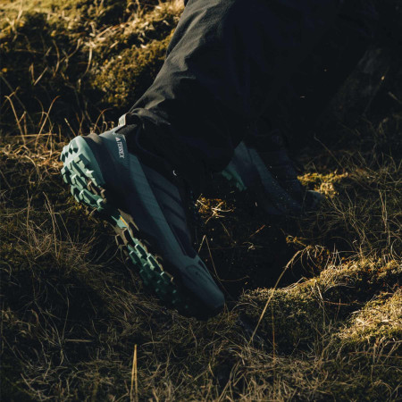 Muške cipele za planinarenje Adidas Terrex Skychaser Ax5 GTX