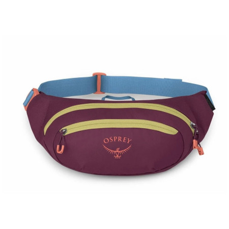 Torbice oko struka Osprey Daylite Waist Pack