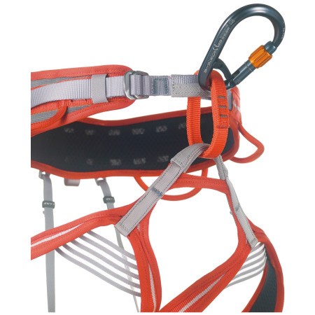 Karabiner Camp Core Belay Lock