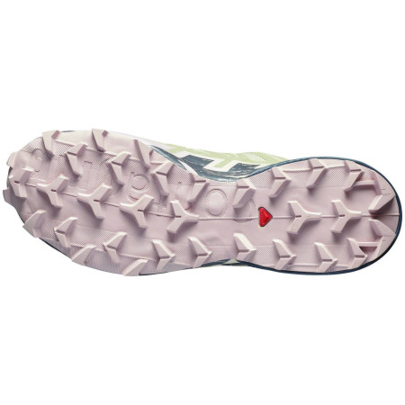 Ženske cipele Salomon Speedcross 6 Gore-Tex