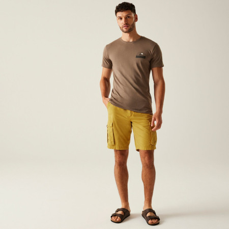 Muške kratke hlače Regatta Shorebay Shorts II