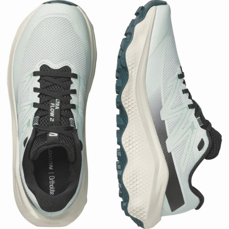 Ženske cipele Salomon Ultra Flow 2 W