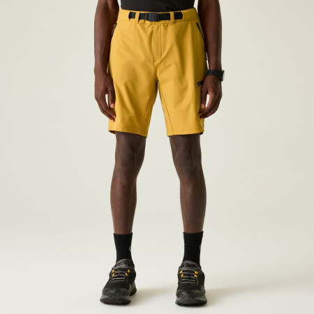 Muške kratke hlače Dare 2b Tuned In Pro II Short