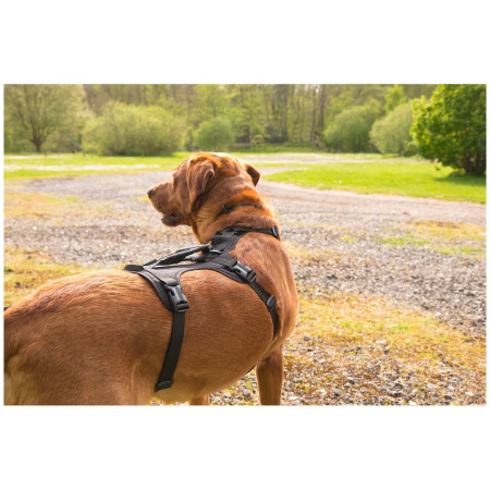 Ogrlica za psa Mountain Paws 3-Strap Dog Harness
