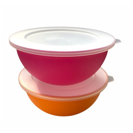 Set zdjela Omada Sanaliving Bowls Set 1,7L + 1,7L & 2x lids