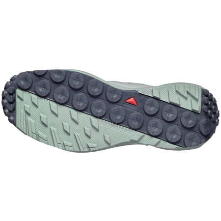 Ženske cipele Salomon Terramphibian W