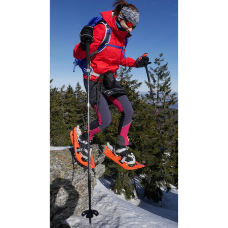 Krplje Inook Odalys lady