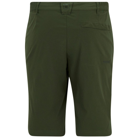 Muške kratke hlače Regatta Highton Shorts Long II