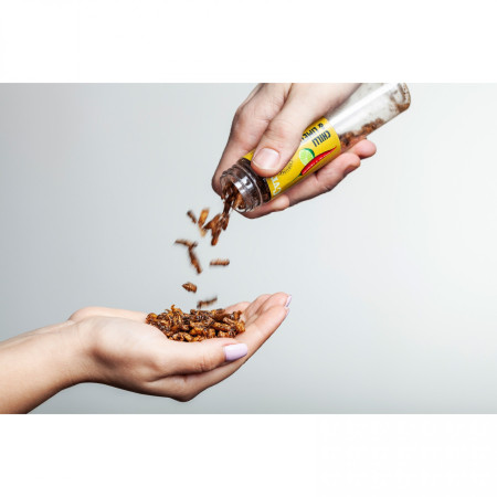 Cvrčci za jelo Sens Hrskavi i pečeni cvrčci s čilijem i limetom