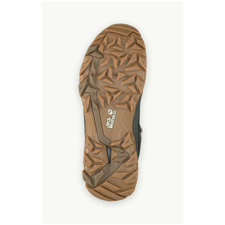 Ženske zimske cipele Jack Wolfskin Everquest Texapore Mid W