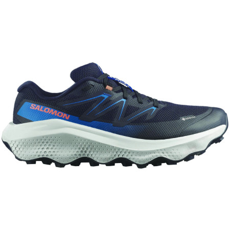 Muške cipele Salomon Ultra Flow 2 Gore-Tex