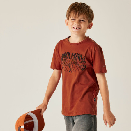 Dječja majica Dare 2b Trailbazer III Tee Arabian Spice