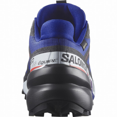 Muška obuća Salomon Speedcross 6 Gore-Tex Equipe