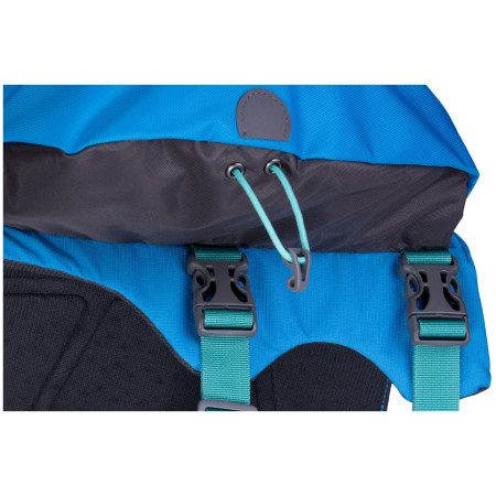 Ruksak za psa Ruffwear Approach™ Pack