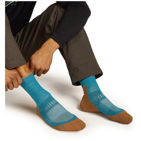 Muške čarape Icebreaker M Mer Hike+ Light Crew