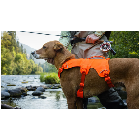Ogrlica za psa Ruffwear Web Master™ Harness