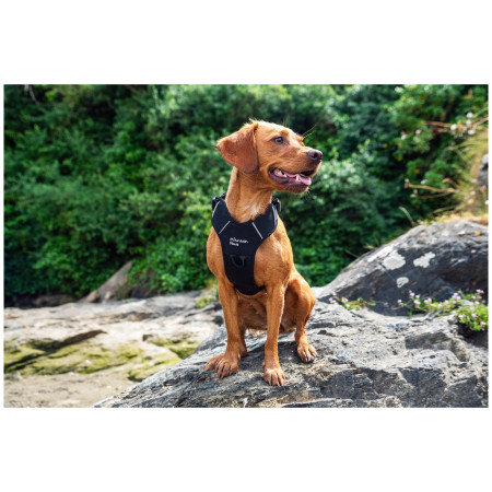 Ogrlica za psa Mountain Paws Dog Harness