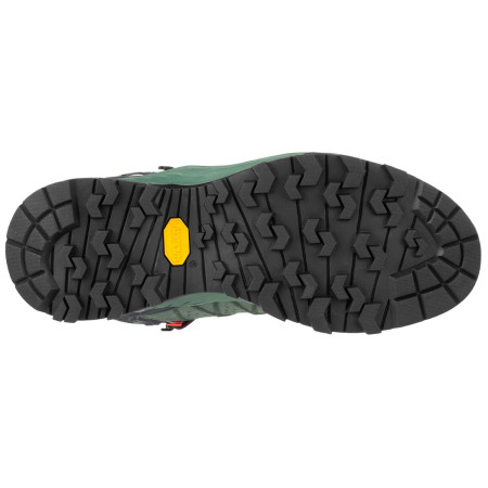 Ženske cipele Salewa Ws Alp Trainer 2 Mid Gtx