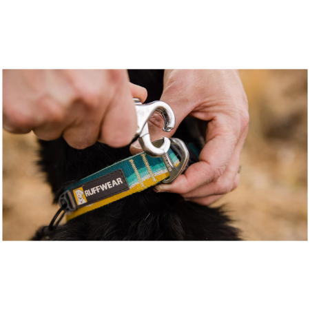 Ogrlica za psa Ruffwear Crag™ Collar