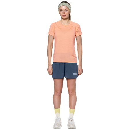 Ženska majica Devold Endurance Merino 130 Tee Wmn